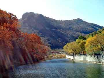 新澳天天开奖资料大全旅游团，中型颗粒机